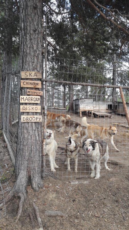 Cabin At Huskies Farm Inari Bagian luar foto