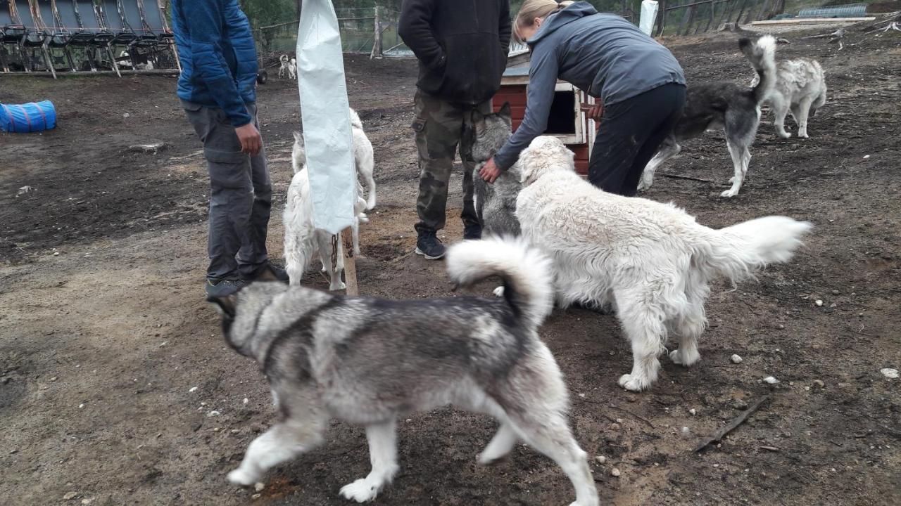 Cabin At Huskies Farm Inari Bagian luar foto